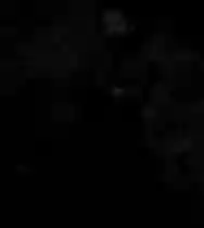 Immagine di Dan Hill