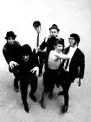 Image ofThe Incredible Staggers