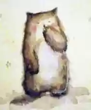 Immagine di Anatomy of the Bear