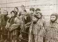Immagine di Holocaust