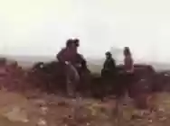 Immagine di Lovecraft