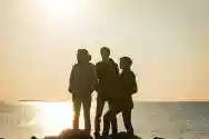 Immagine di Show Me a Dinosaur