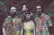 Immagine di Hiatus Kaiyote