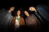 Immagine di Triptides