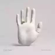 Immagine di Chet Faker