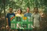 Immagine di Pinegrove