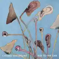 Immagine di Cosmo Sheldrake