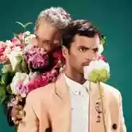 Immagine di Polo & Pan
