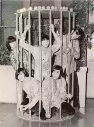 Immagine di The Tangerine Zoo