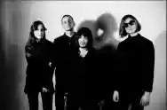 Image ofDead Vibrations