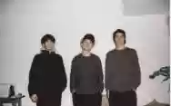 Immagine di D.A.N.