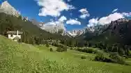 Immagine di Rauchers