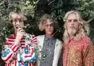Immagine di The Babe Rainbow