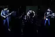Immagine di Orangotango