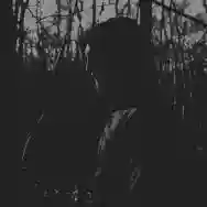 Immagine di Crypt Witch