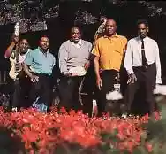Immagine di Chicago Blues All Stars