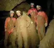 Immagine di Batsalsa Experience