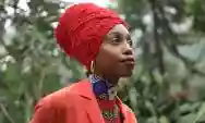 Immagine di Jazzmeia Horn