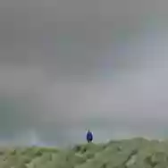 Image ofdTHEd