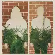 Immagine di Trees Speak