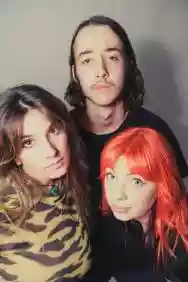 Immagine di Baby Mullet