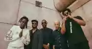 Immagine di Irreversible Entanglements