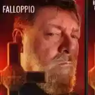 Immagine di Falloppio