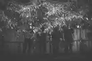Immagine di We Are Winter's Blue And Radiant Children