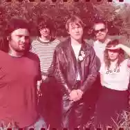 Image ofgood flying birds