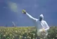 Image of.O.Rang