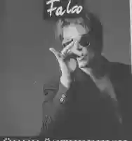 Immagine di Falco