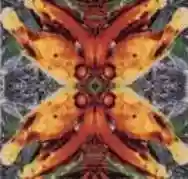 Immagine di Acid Horse