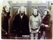 Image ofFungus