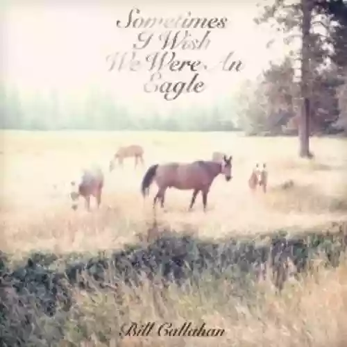 Cover Bill Callahan - Sometimes I Wish We Were an Eagle