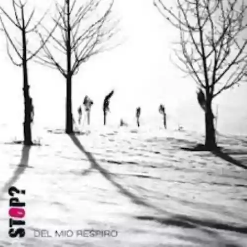 Cover di Del mio respiro