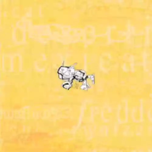 Cover di Disco Giallo (#1)