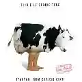 <b>Elio e le Storie Tese</b> • Italyan, Rum Casusu Cikty