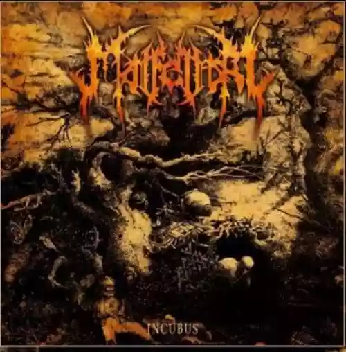 Cover di Incubus