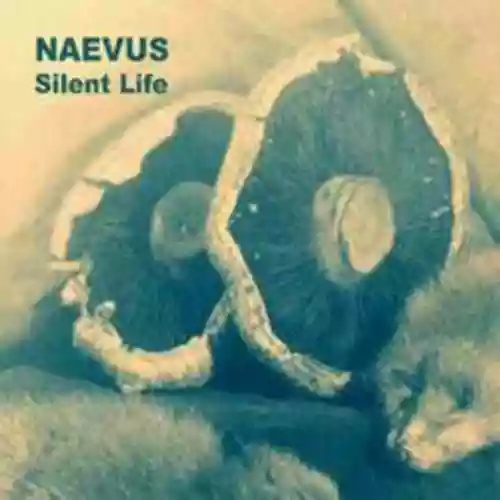 Cover di Silent Life