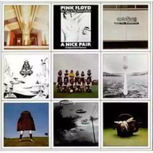 Cover Pink Floyd - A Nice Pair