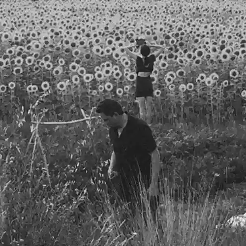 Cover Jesu - Jesu/Sun Kil Moon