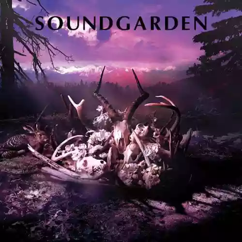 Cover di King Animal Demos