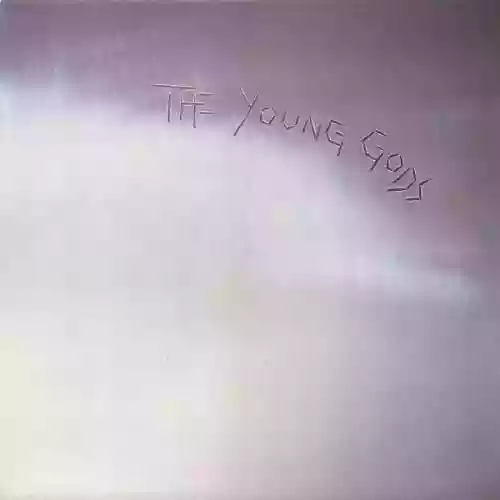 Cover The Young Gods - L'Amourir