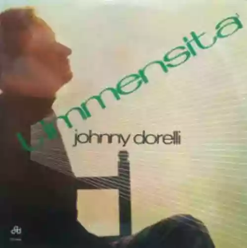 Cover di L'immensità