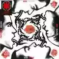 <b>Red Hot Chili Peppers</b> • Blood Sugar Sex Magik