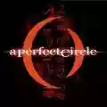 <b>A Perfect Circle</b> • Mer de noms
