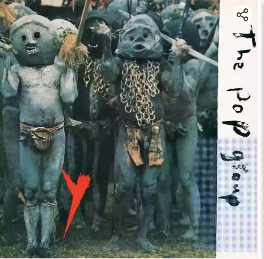 The Pop Group: Y