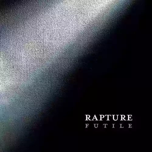Cover di Futile