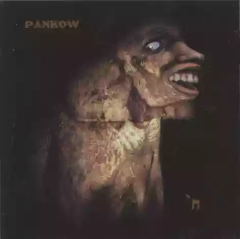 Cover di Pankow