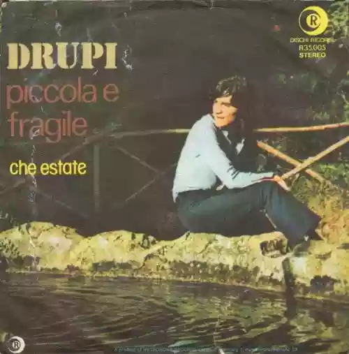 Cover di Piccola e fragile